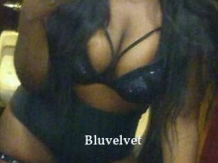 Bluvelvet