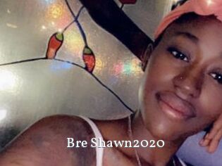 Bre_Shawn2020