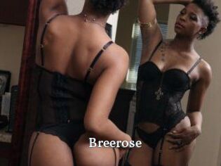 Breerose