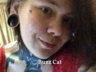 Buzz_Cat