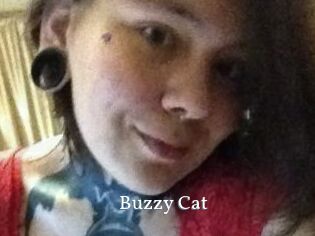 Buzzy_Cat