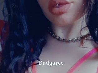 Badgarce