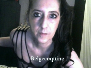 Belgecoquine