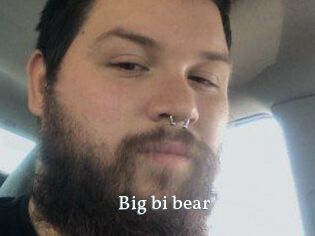 Big_bi_bear