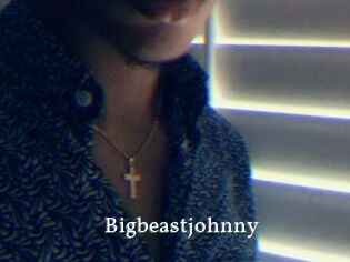 Bigbeastjohnny