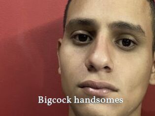 Bigcock_handsomes