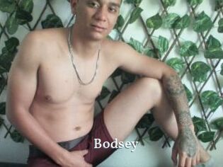 Bodsey