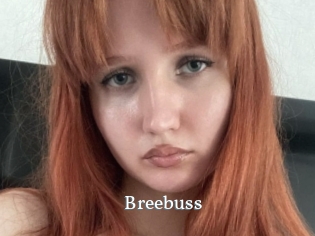 Breebuss