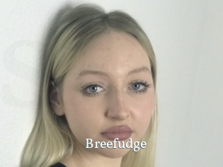 Breefudge