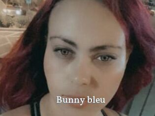 Bunny_bleu