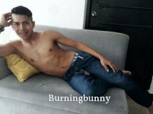 Burningbunny