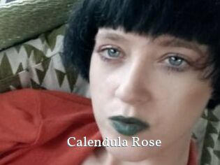Calendula_Rose