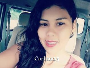 Carlina23