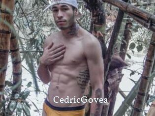 CedricGovea