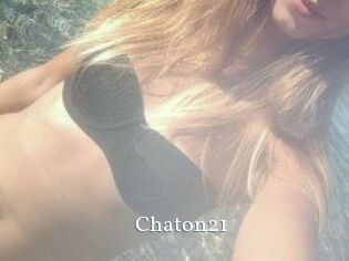 Chaton21