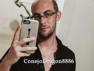 ConejoDragon8886