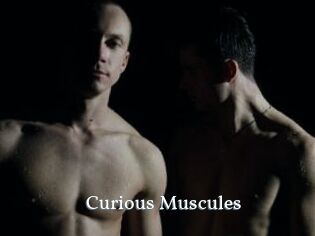 Curious_Muscules