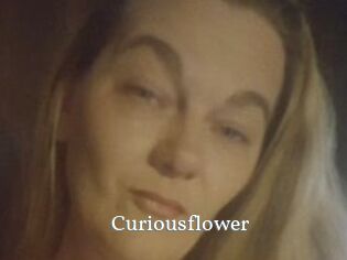 Curiousflower