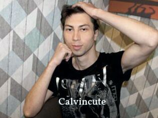 Calvincute