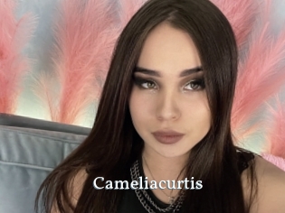 Cameliacurtis