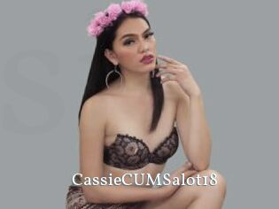 CassieCUMSalot18