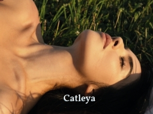 Catleya