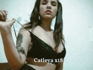 Catleya_x18