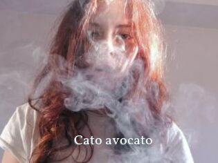 Cato_avocato