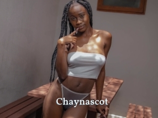 Chaynascot