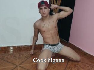 Cock_bigxxx