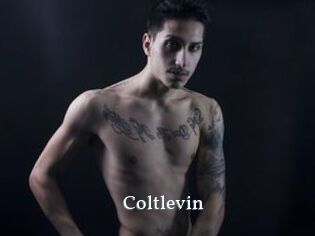 Coltlevin