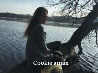 Cookie_anjax