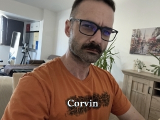 Corvin