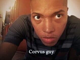 Corvus_guy