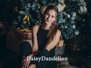 DaisyDandelion