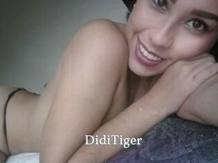 DidiTiger