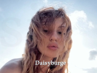 Daisyburge