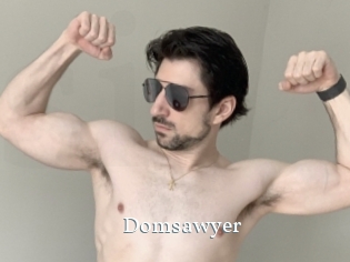 Domsawyer