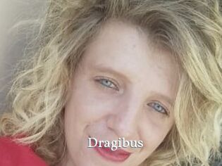 Dragibus