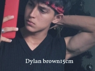 Dylan_brown15cm