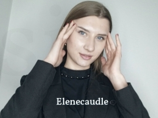 Elenecaudle