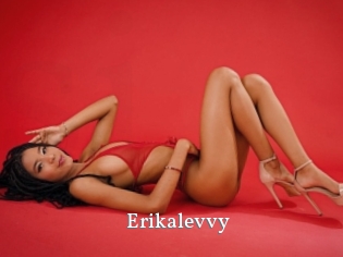 Erikalevvy