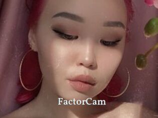 FactorCam