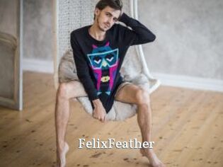 FelixFeather