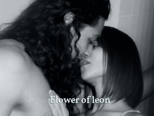 Flower_of_leon