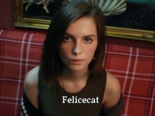 Felicecat