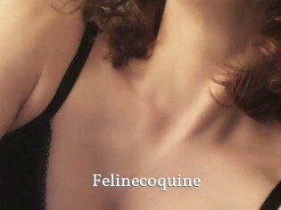 Felinecoquine