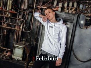 Felixburt