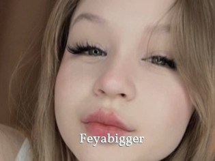 Feyabigger