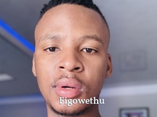 Figowethu